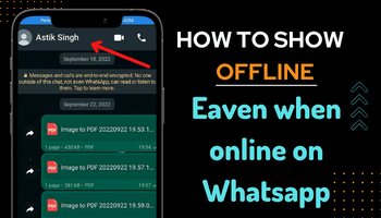 How to show offline in whatsapp when i am online