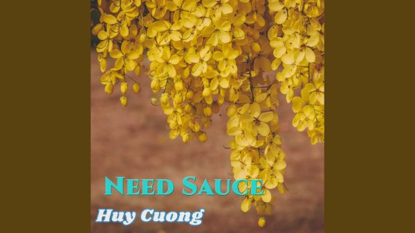 Chasing The Sun – Musik und Lyrics von Huy Cuong